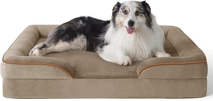 Cutepups Orthopedic Dog Bed Comfortable Dog Mattress for Sleeping, Washable pet Bed for Dogs (Hazel, S)