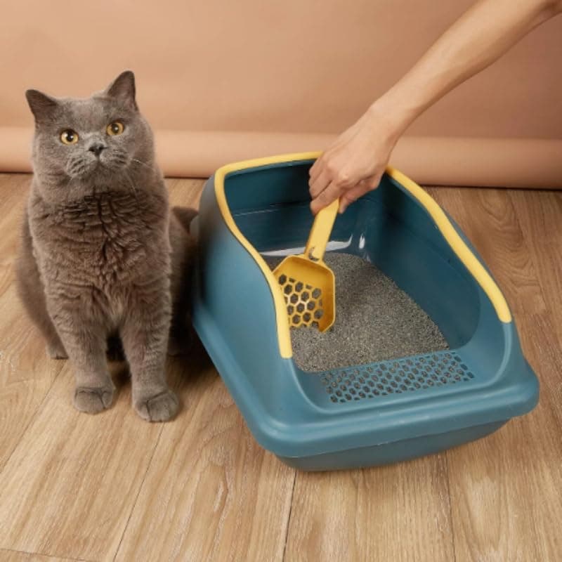 Dog Trust Cat Semi Enclosed with High Sides Secure and Odor Litter Box Removable Size Suitable only for Breeds Such as Puppy cat Kitten only for Small pet