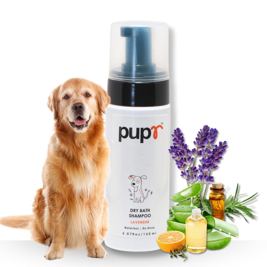 PUPR Dry Bath Shampoo | for Moisturizing,Cleansing & Deodorizing | Dry Shampoo for Dogs | Waterless for Dogs with Lavender Scent - 150ml