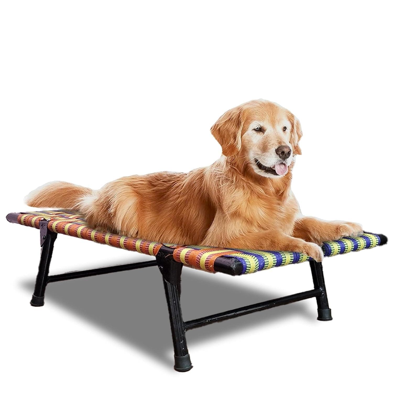 Folding Dog Bed Iron with Nylon Mat Cooling Summer Bed Elevated Antislip and Waterproof Suited for All Seasons Easily to CLEANUP & Sleep (XL 36x24x8 Inch, Multi Color)