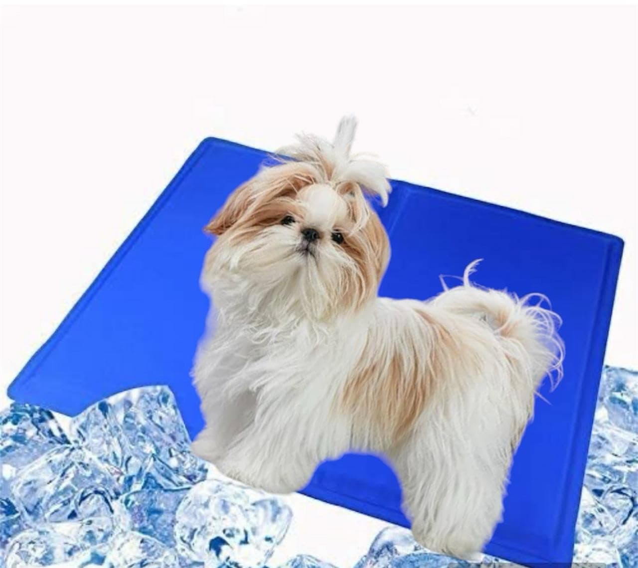 Petahouse (New) (Md (50Cm X 65Cm)) Holy Paws Polyester Soft Cooling Bed Pad,Bed,Mat Self Activated Comfort Heat Relief Pressure For Dogs,Cats,Small And Medium Animals | Pack Of 1, Blue