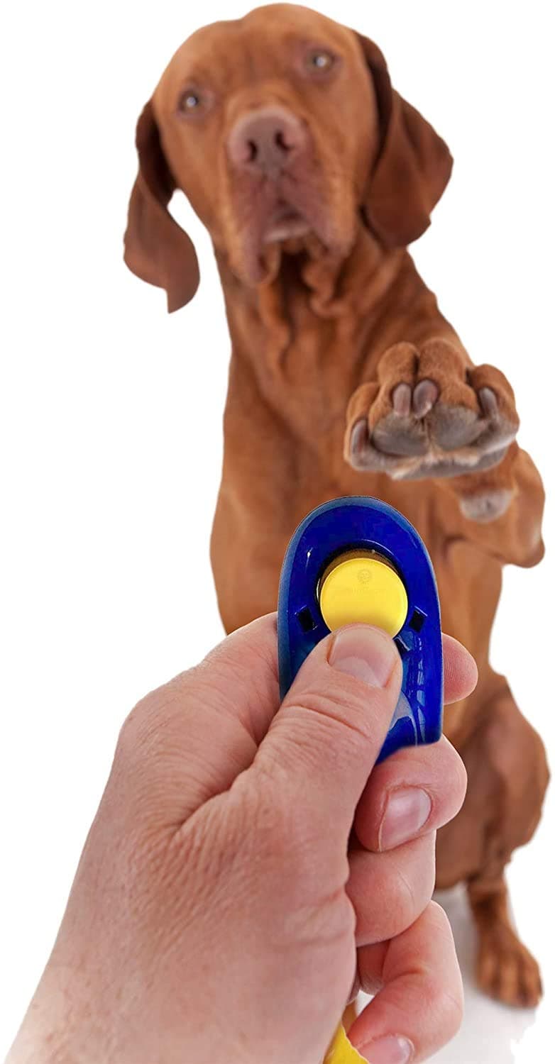 TAIYO PLUSS DISCOVERY® Pet Training Clicker, Size: L-6.5 cm, Pet Training Clicker with Wrist Bands Strap, Training & Obedience Aid (Blue)
