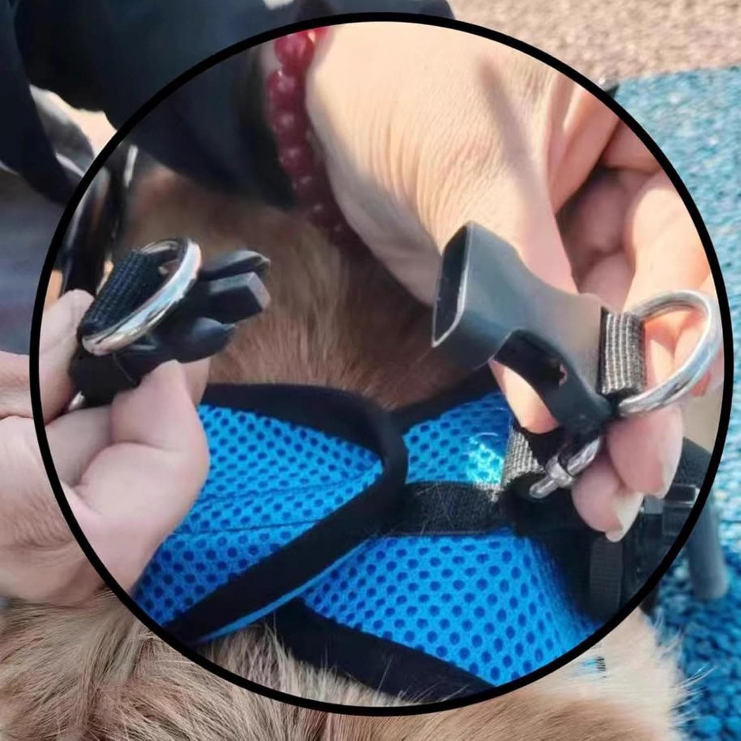 Dog Wheelchair for Back Legs Metal Dog Wheelchair Cart for Small Pets (Blue) XS
