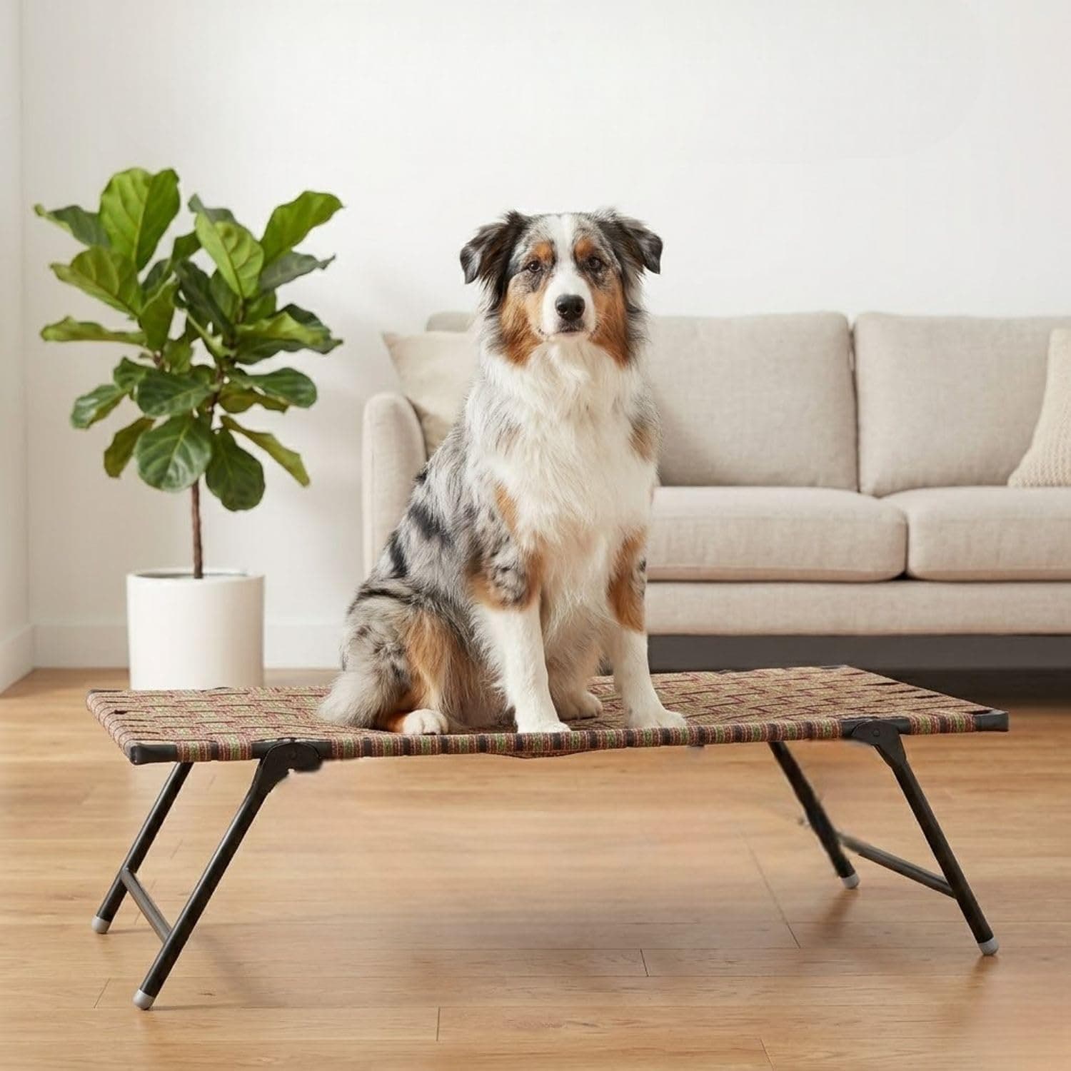 Folding Elevated Medium Size (36X24X12 Inches) Nylon Cooling Summer Bed Elevated Dog & Cat Bed Cooling Pet Cot for Outside Camping