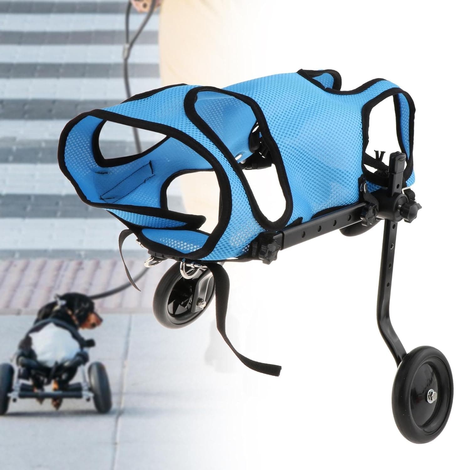 Dog Wheelchair for Back Legs Metal Dog Wheelchair Cart for Small Pets (Blue) S| Pet Supplies