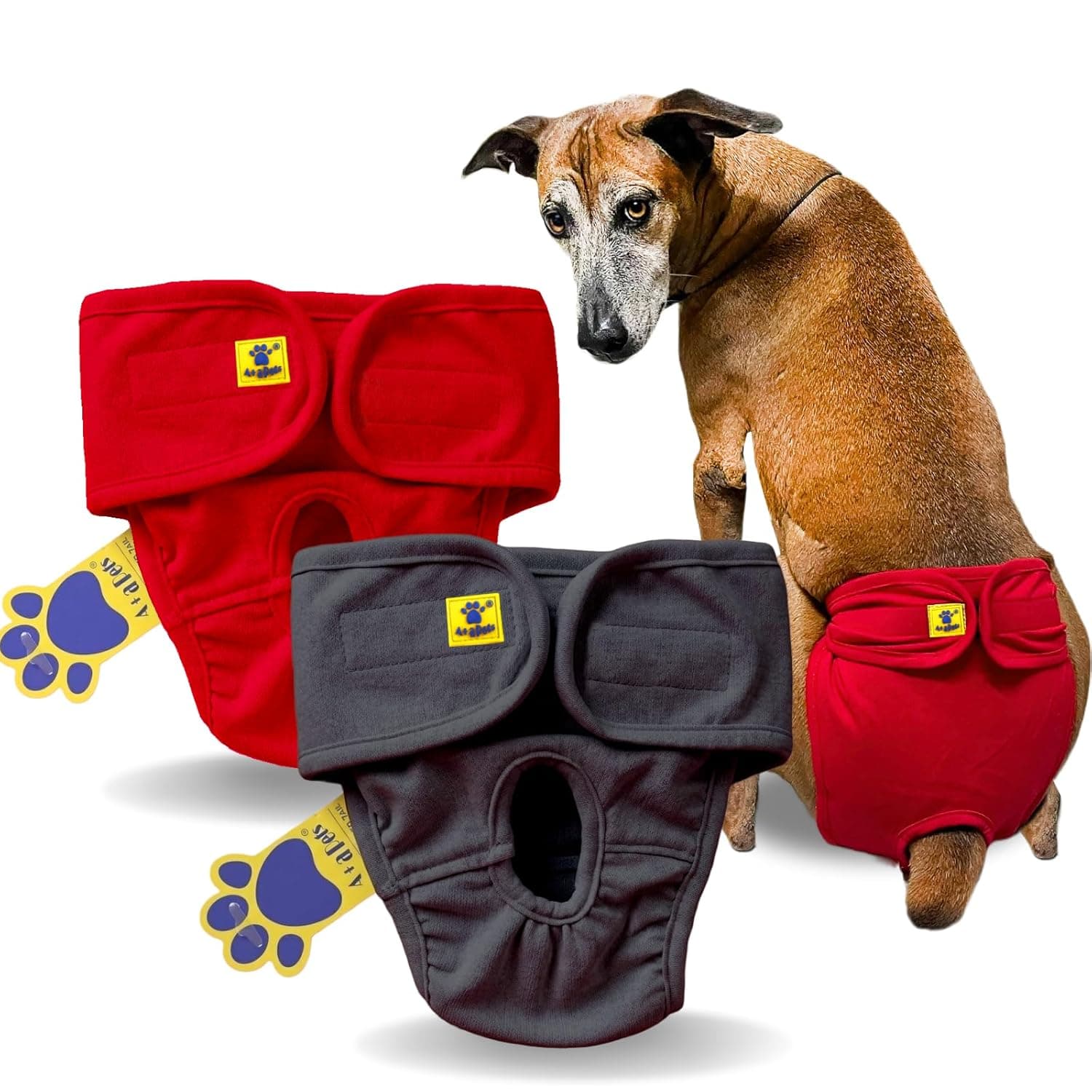 A+a Pets' MAA' Cotton Dog Underwear Diaper Combo – Stretchable, Comfortable, Washable & Reusable (L, Red & Grey Set)