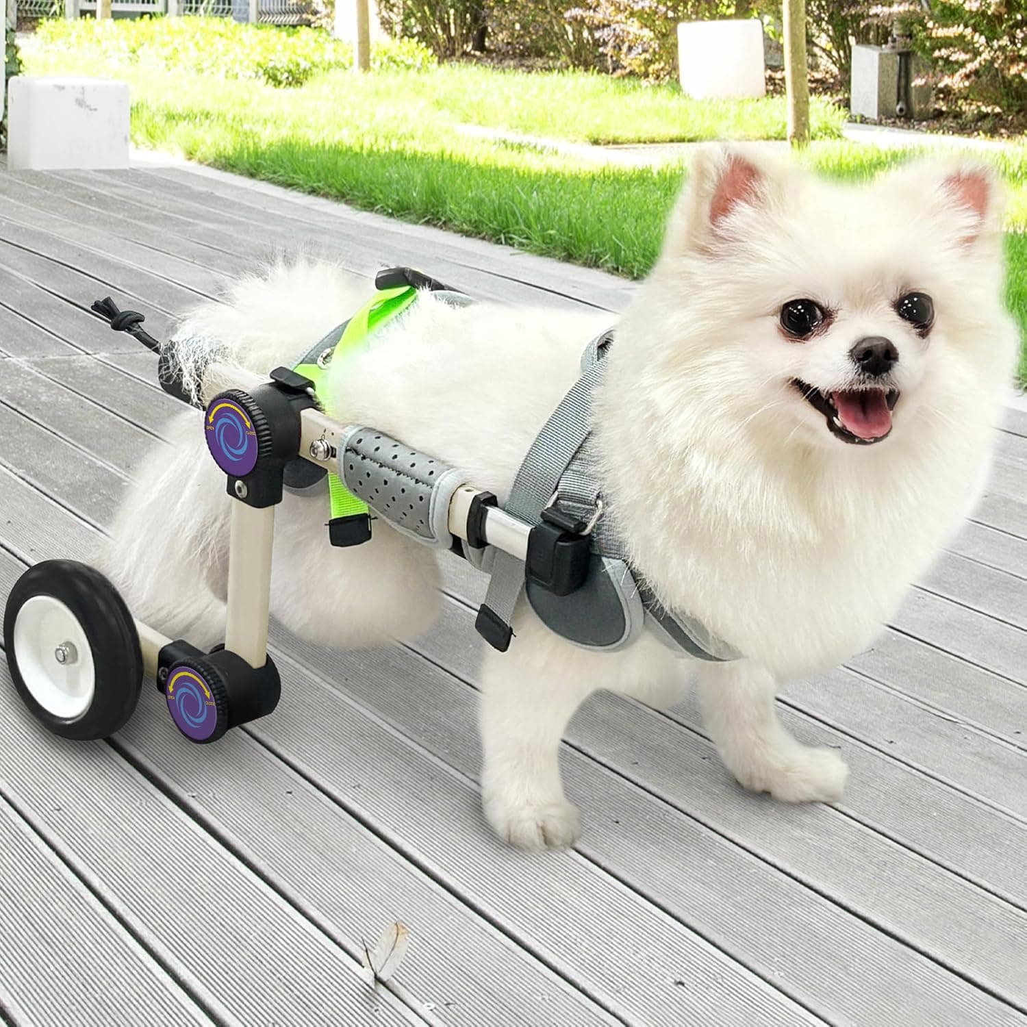 Adjustable Dog Wheelchair for Back Legs Mobility Support Lightweight Pet Wheelchair for Disabled Hind Legs Walking Stable Dog Cart for Pets, X-Small Plus White