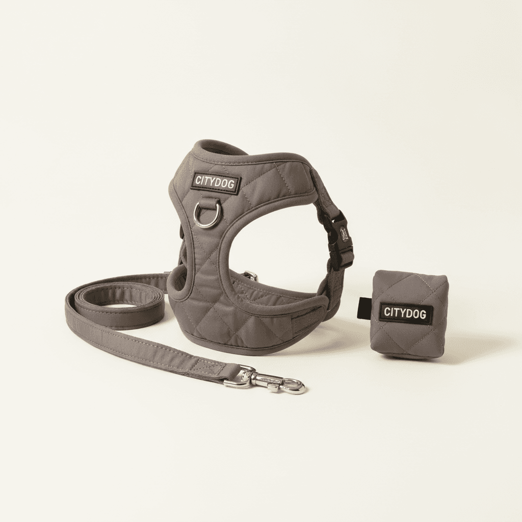 CITYDOG Quilted Harness & Leash Set with Poop Bag Holder